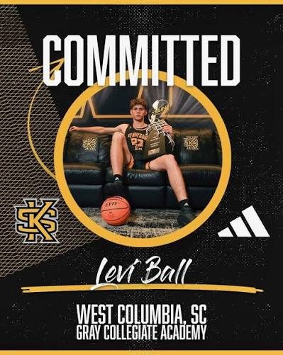 Levi Ball